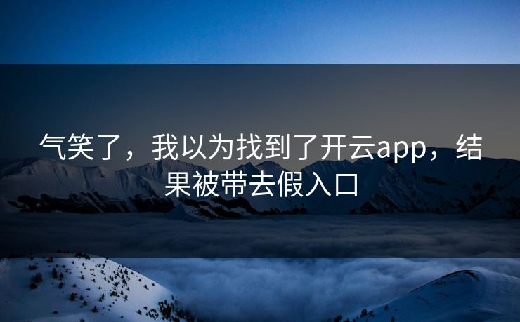气笑了，我以为找到了开云app，结果被带去假入口