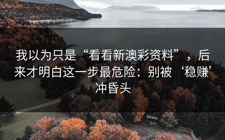 我以为只是“看看新澳彩资料”，后来才明白这一步最危险：别被‘稳赚’冲昏头