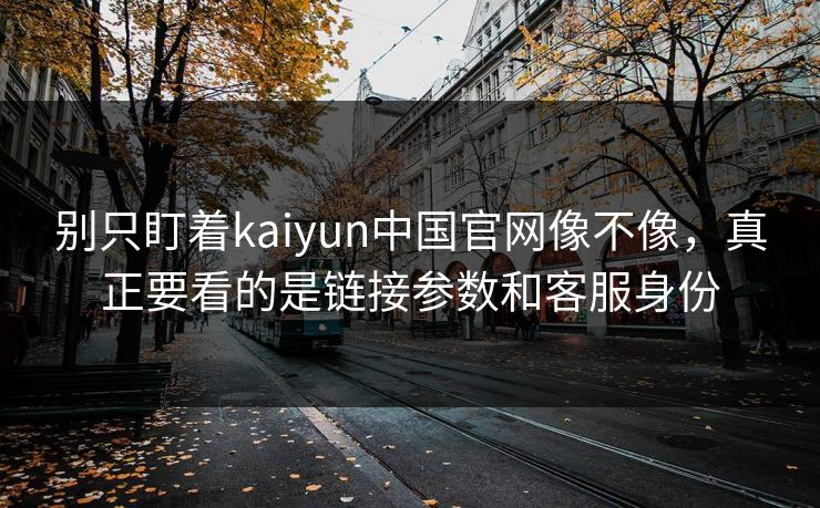 详细阅读:别只盯着kaiyun中国官网像不像,真正要看的是链接参数和客服身份 别只盯着kaiyun中国官网像不像,真正要看的是链接参数和客服身份